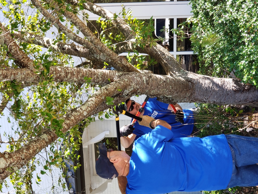 Eastman Chemical Volunteers Assisting with sprucing up the landscape at Piedmont Arts